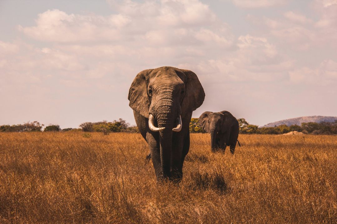 15. Samburu National Reserve: Samburu Town, Samburu County