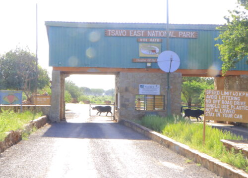 GAME DRIVE AND HIKING