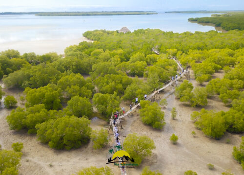 “CREEK FOR LIFE” – A Nia Adventures Ltd. Sustainable Tourism Program